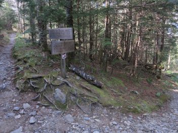 image of a Blue Ridge mountain trail